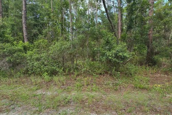 Stop Renting Plan your FL Place — Putnam County, FL