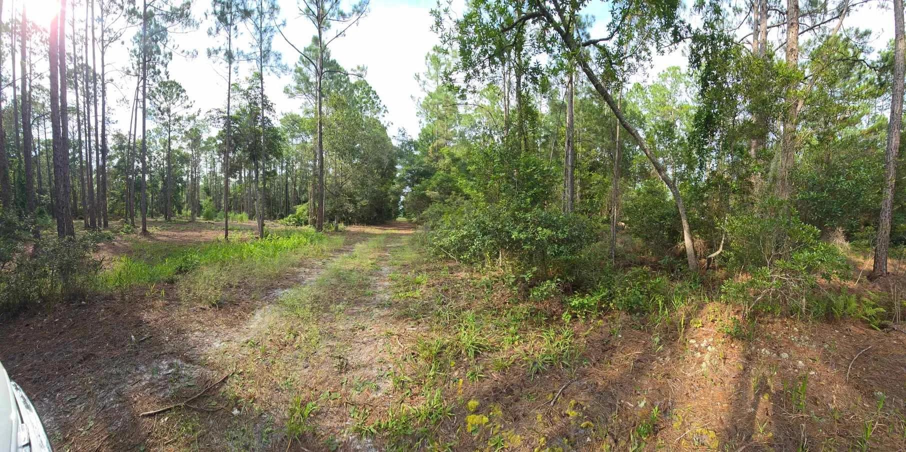 Own Your Land Near Lake George - Image 2