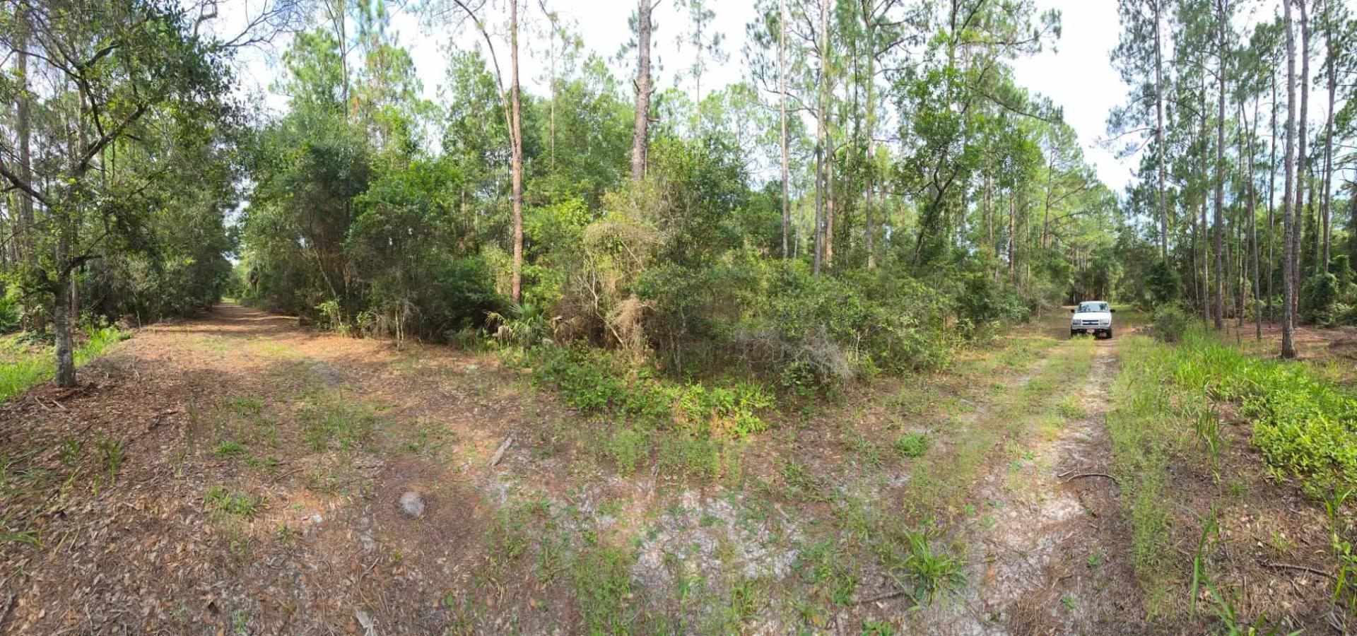 Own Your Land Near Lake George - Image 3