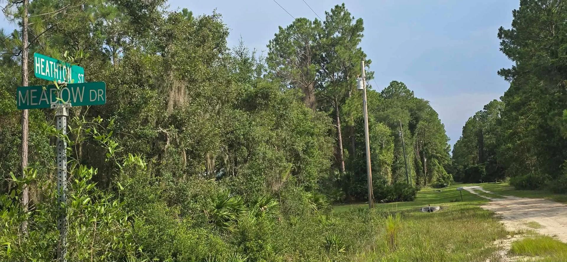 Decorative background for Own Your Land Near Lake George image 11