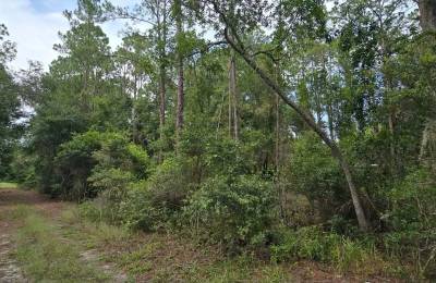Own Your Land Near Lake George