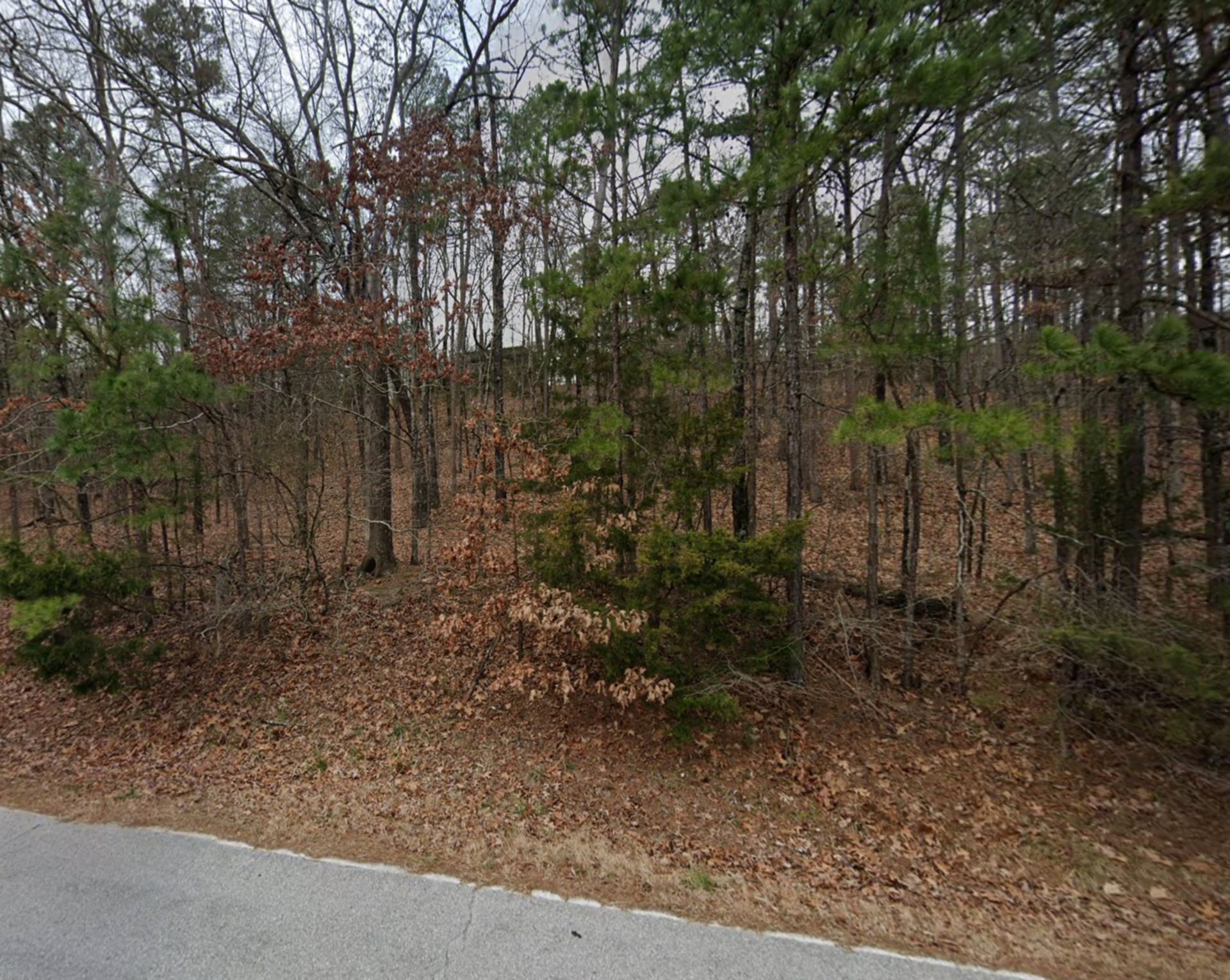 Decorative background for 0.25 acre Residential Lot in Fairfield Bay, Arkansas – Tax Assessed $2,000 Selling For Only $950!! image 9