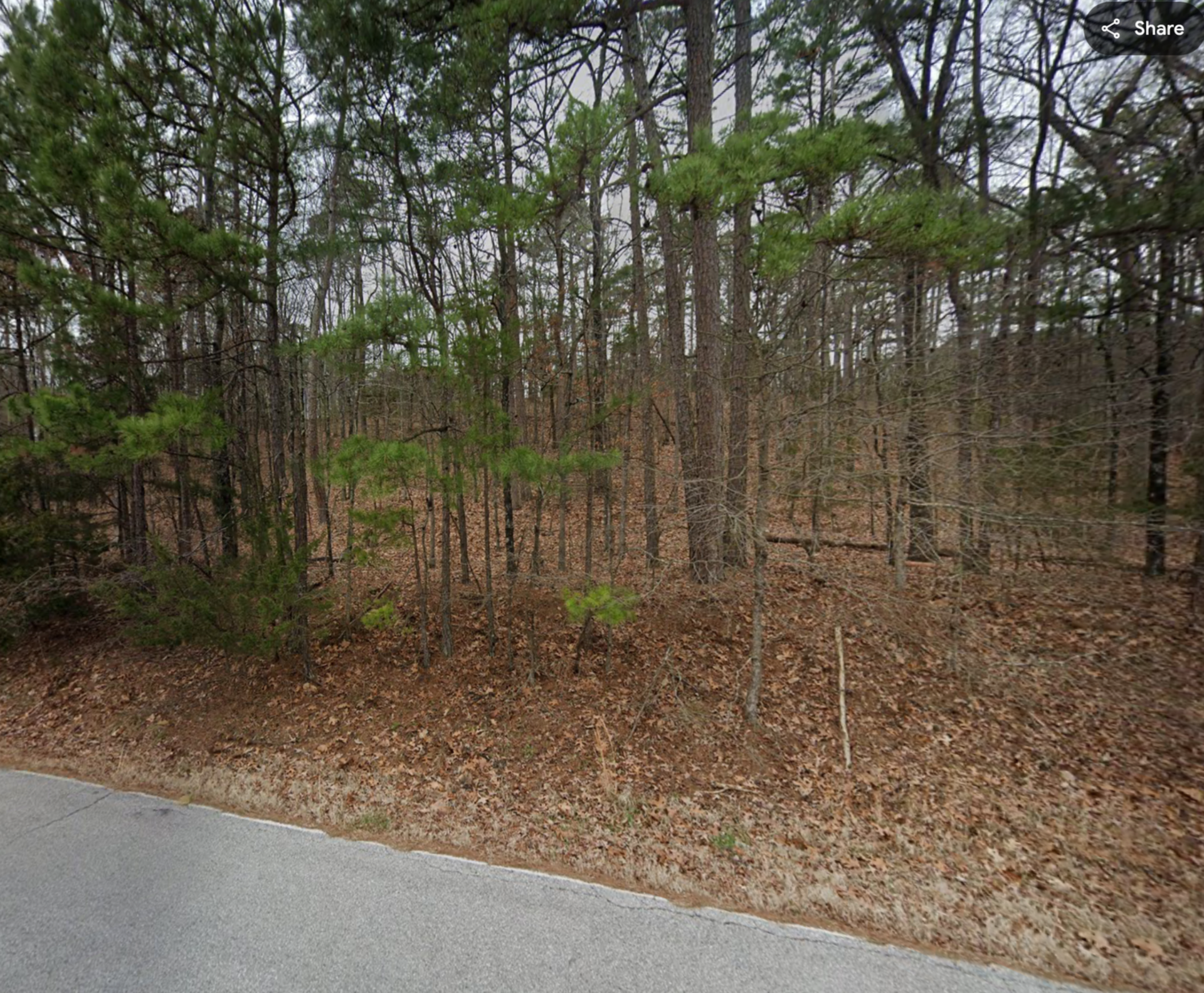 Decorative background for 0.25 acre Residential Lot in Fairfield Bay, Arkansas – Tax Assessed $2,000 Selling For Only $950!! image 10