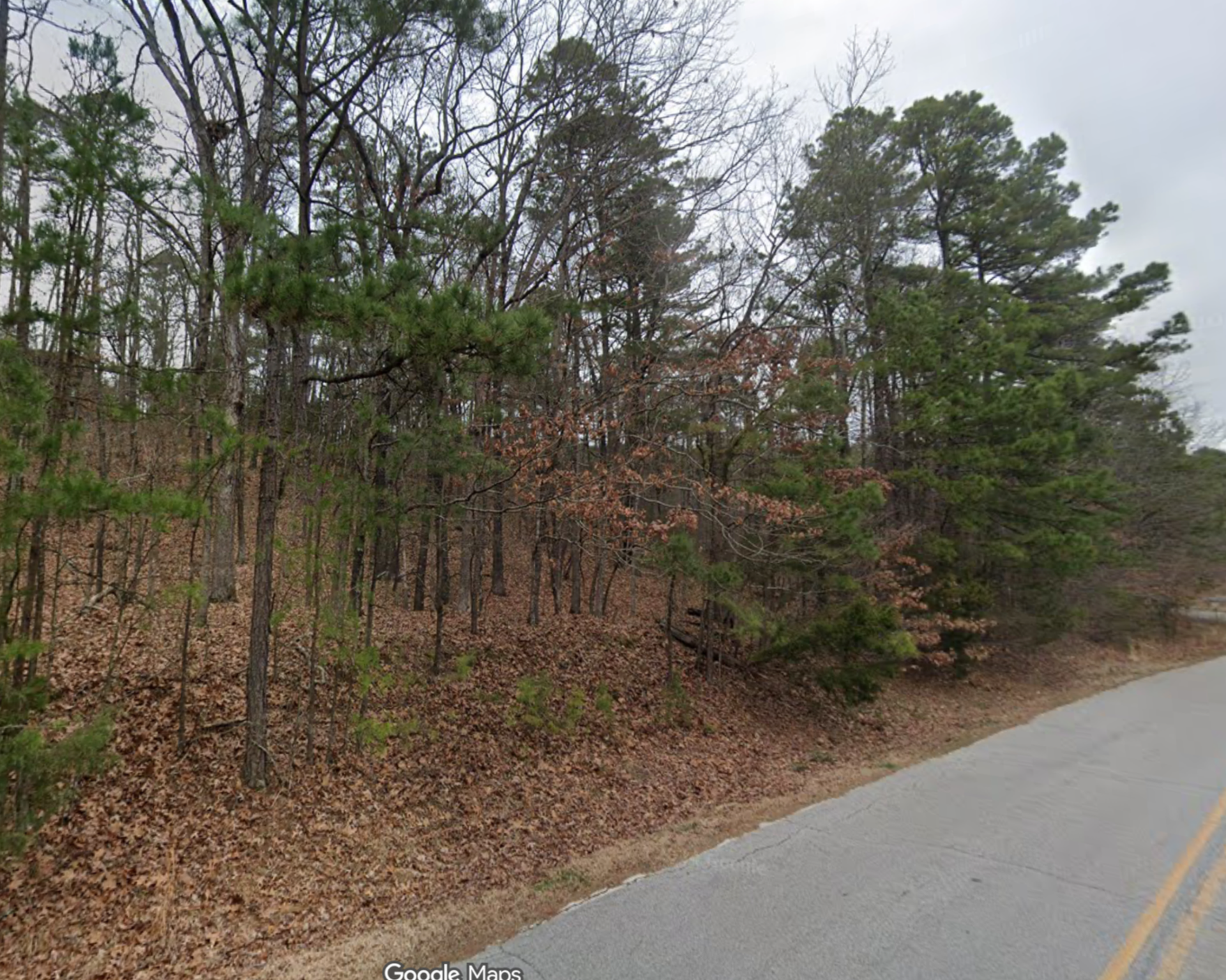 Decorative background for 0.25 acre Residential Lot in Fairfield Bay, Arkansas – Tax Assessed $2,000 Selling For Only $950!! image 11