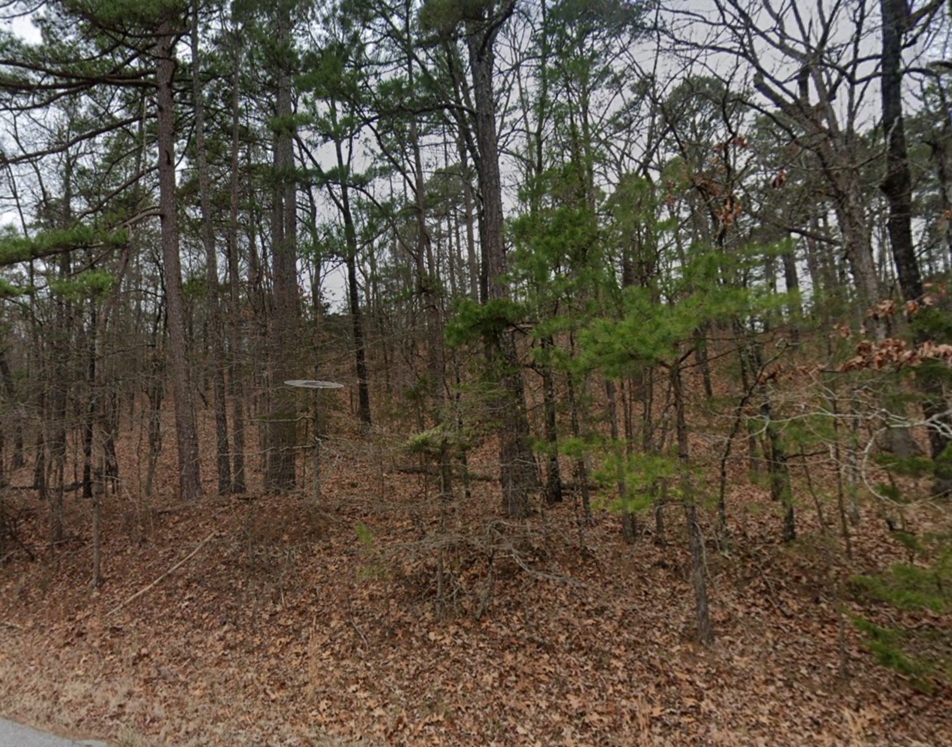 Decorative background for 0.25 acre Residential Lot in Fairfield Bay, Arkansas – Tax Assessed $2,000 Selling For Only $950!! image 12