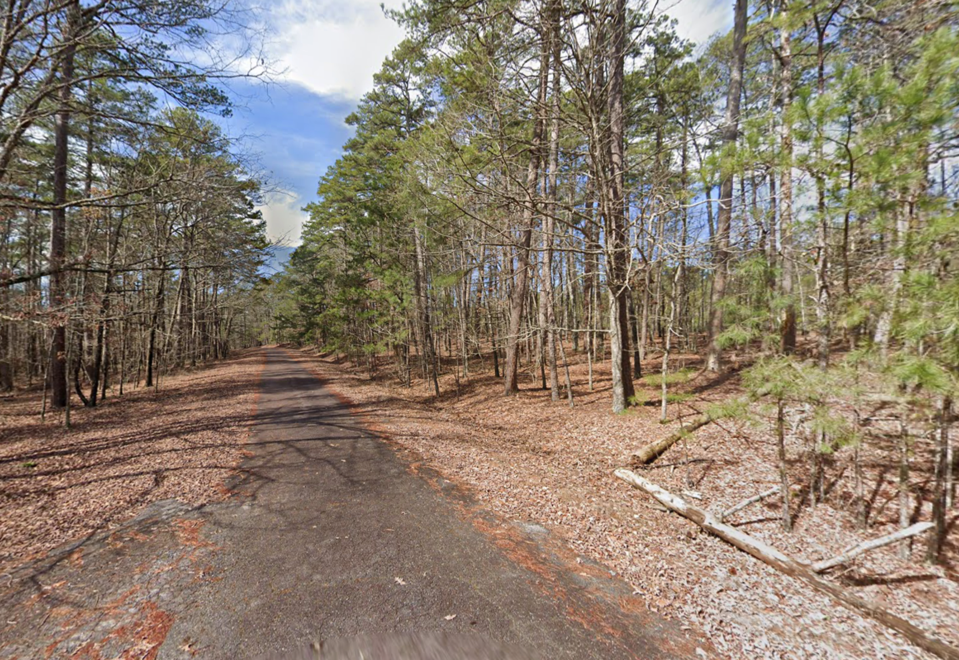 Decorative background for $950 CASH — WOODED LOT IN HOT SPRINGS VILLAGE, ARKANSAS image 9