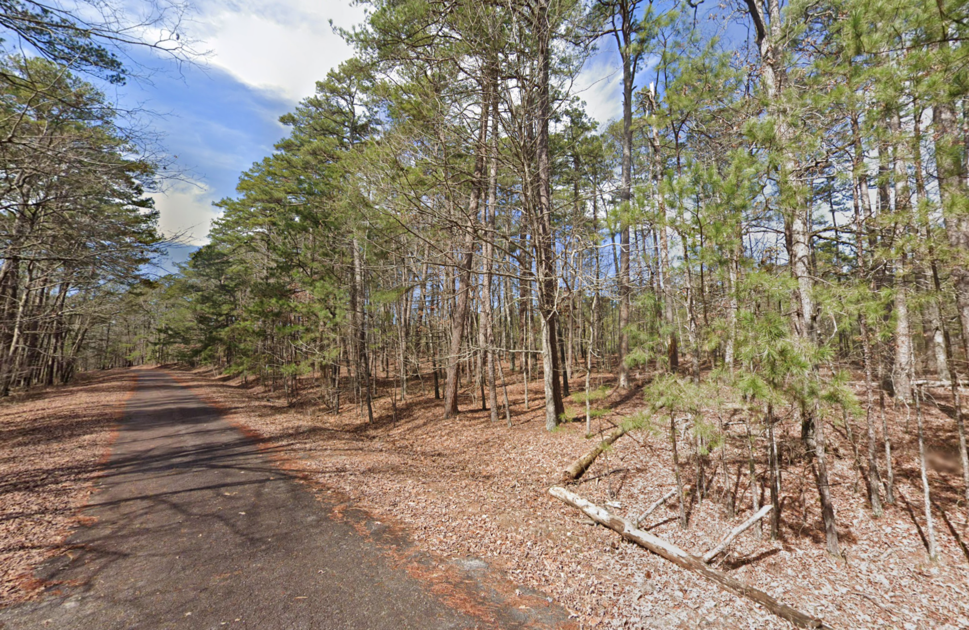 Decorative background for $950 CASH — WOODED LOT IN HOT SPRINGS VILLAGE, ARKANSAS image 20