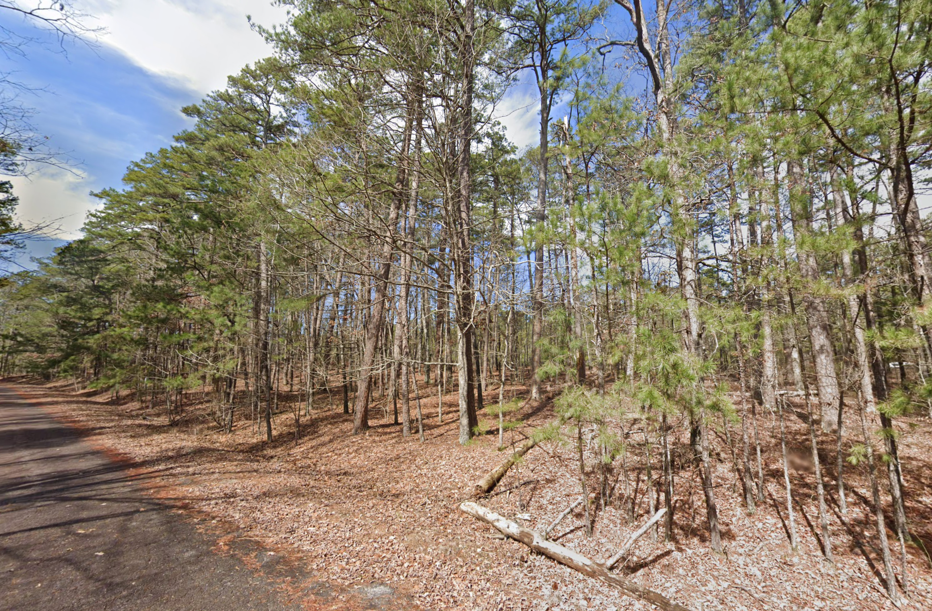 Decorative background for $950 CASH — WOODED LOT IN HOT SPRINGS VILLAGE, ARKANSAS image 21