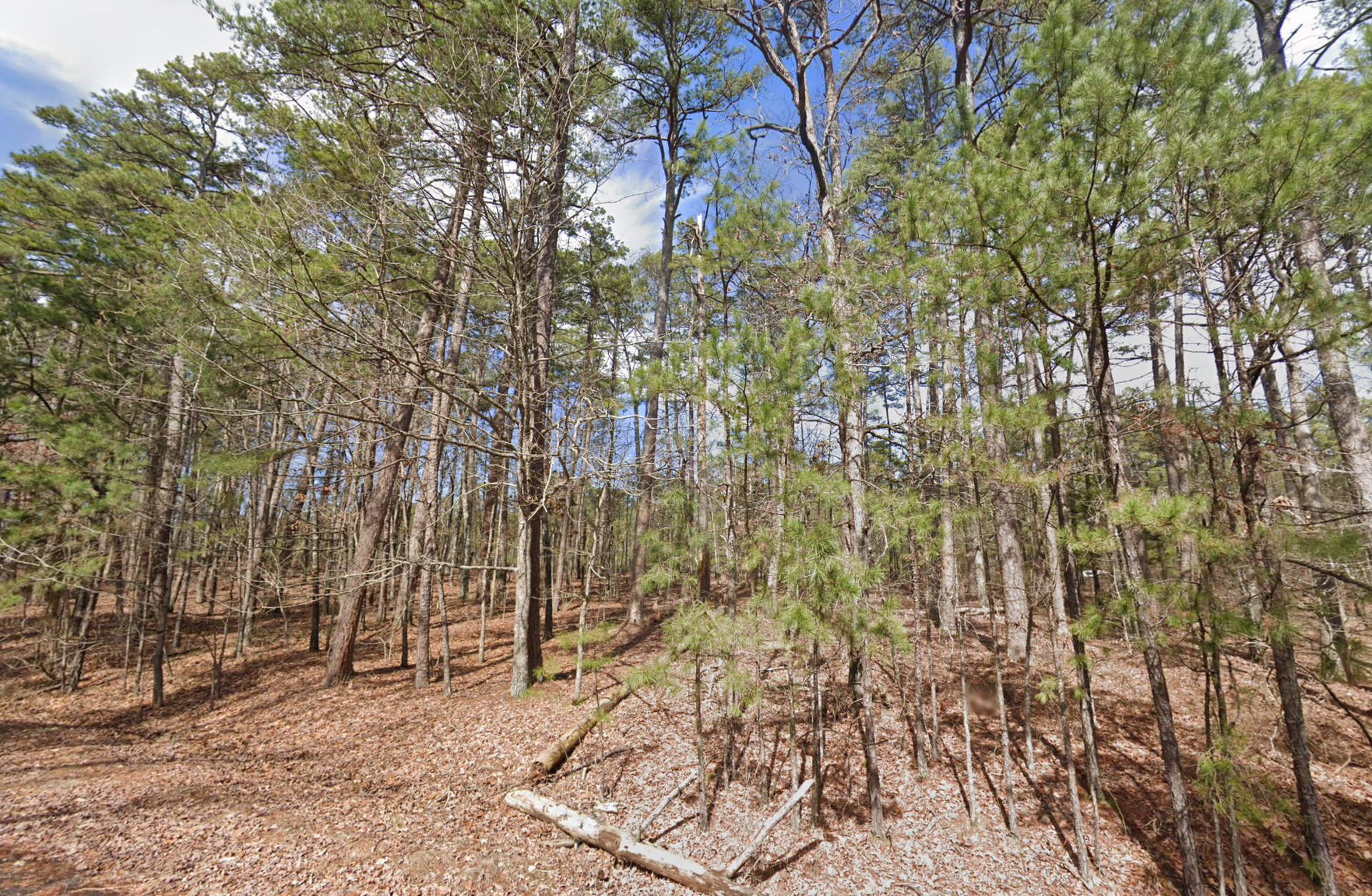 Decorative background for $950 CASH — WOODED LOT IN HOT SPRINGS VILLAGE, ARKANSAS image 22