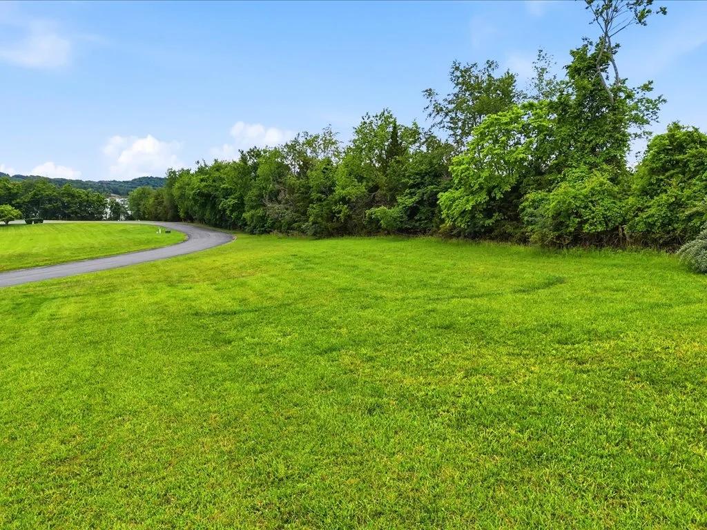 Decorative background for Cleared Lot in Legacy Bay image 11