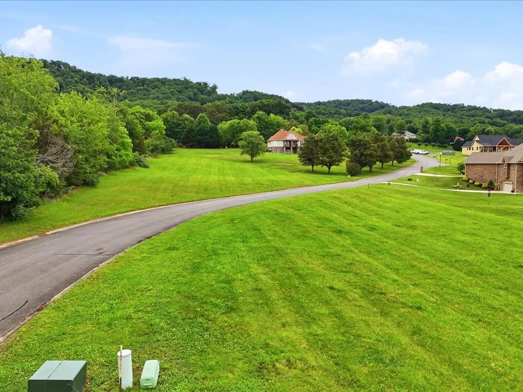 Decorative background for Cleared Lot in Legacy Bay image 12