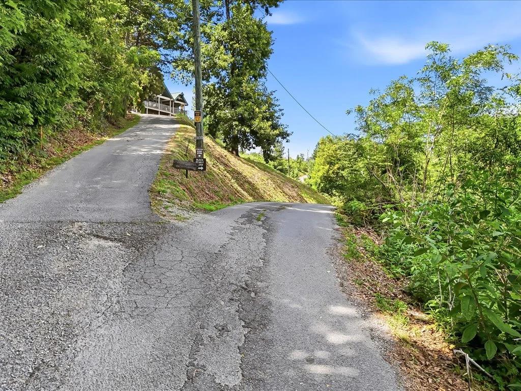5+ Acres with Smoky Mountain View - Image 2
