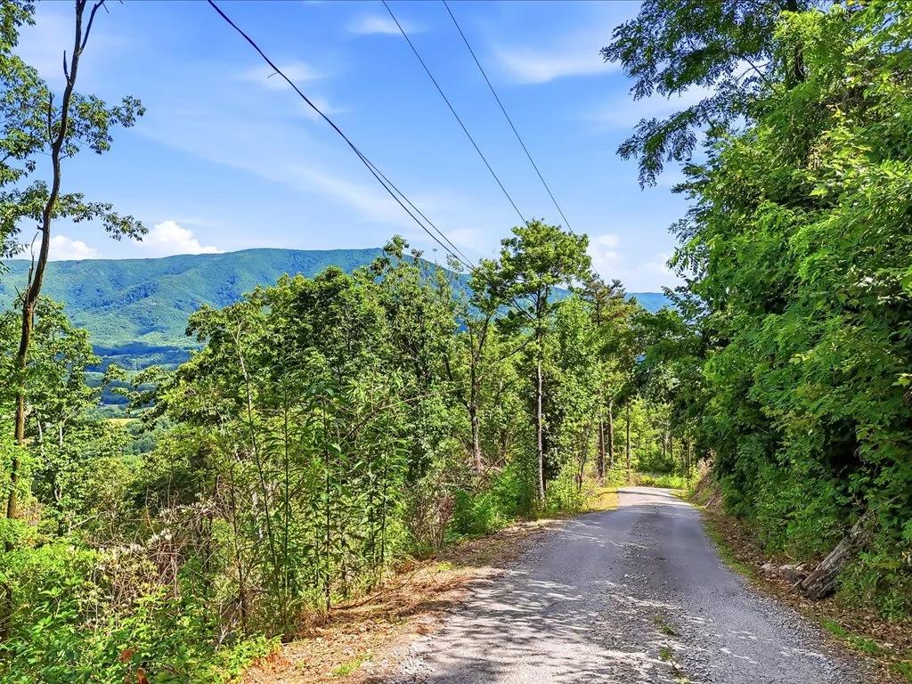 5+ Acres with Smoky Mountain View - Image 3