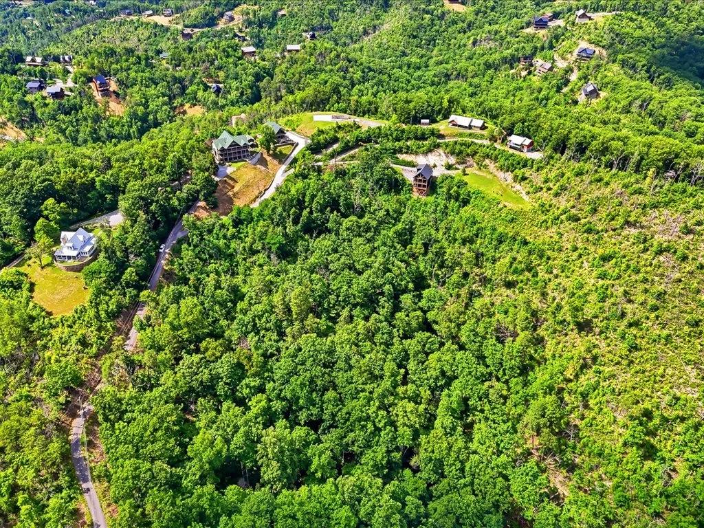 Decorative background for 5+ Acres with Smoky Mountain View image 9