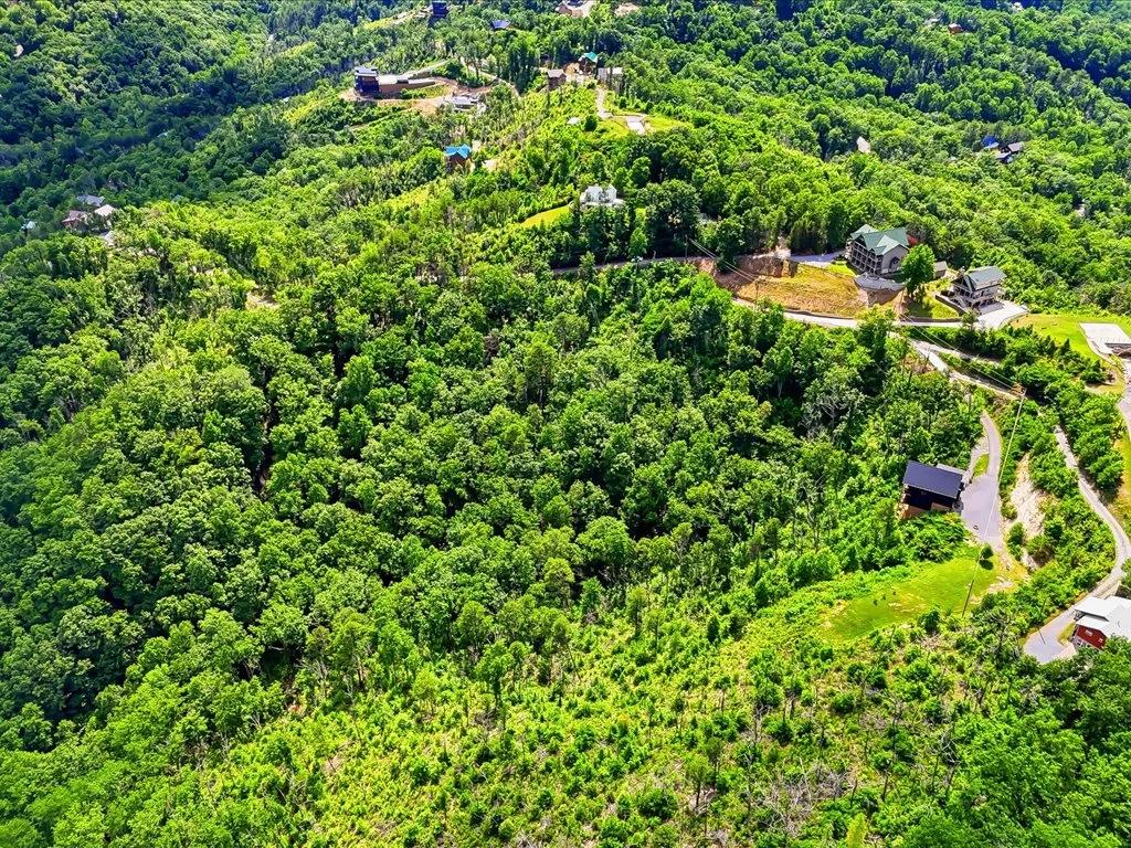 Decorative background for 5+ Acres with Smoky Mountain View image 10