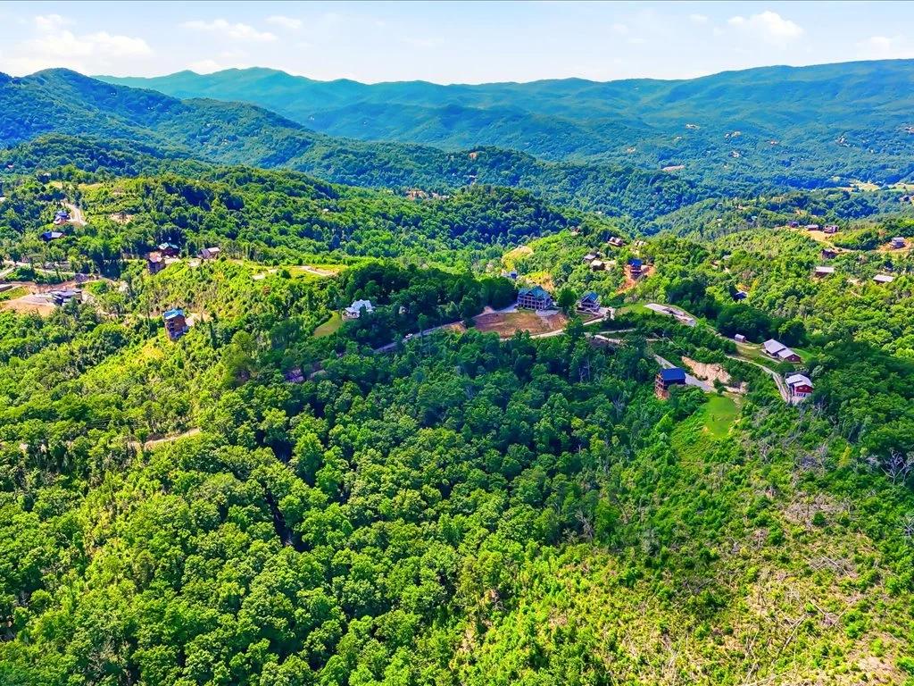 Decorative background for 5+ Acres with Smoky Mountain View image 14