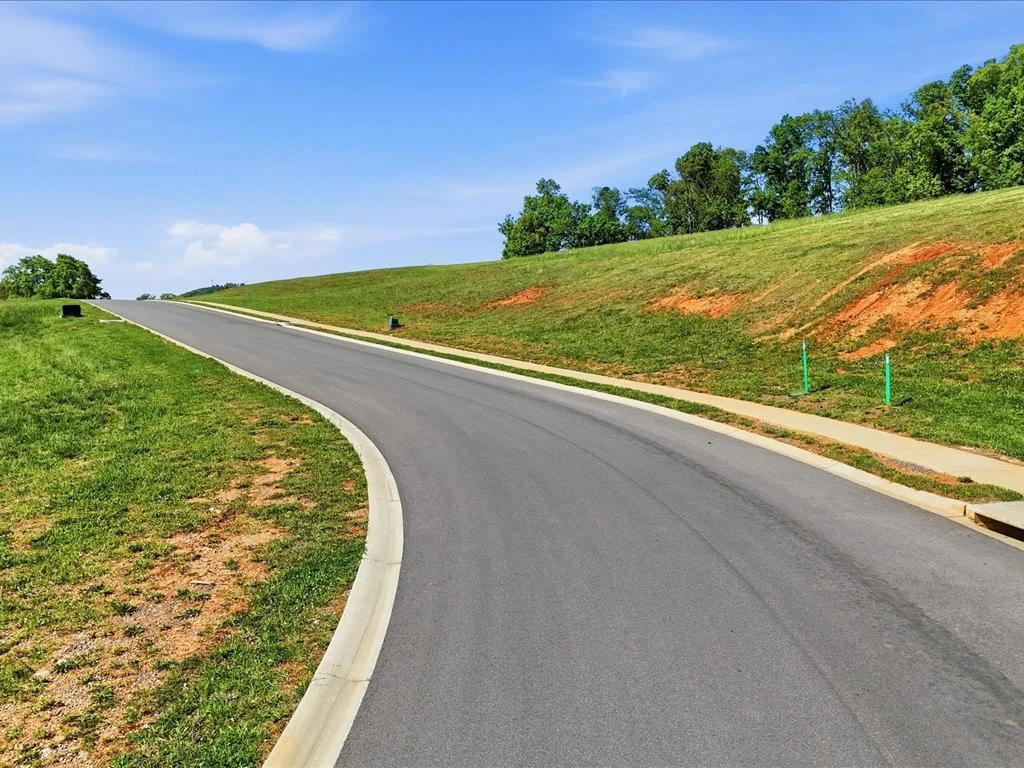 Decorative background for 0.73-acre Cleared Building Lot in Windswept Subdivision image 12