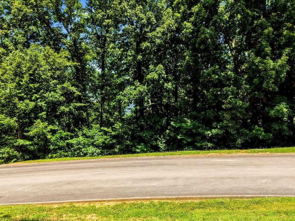 Cherokee Lake Access Lot - Image 4