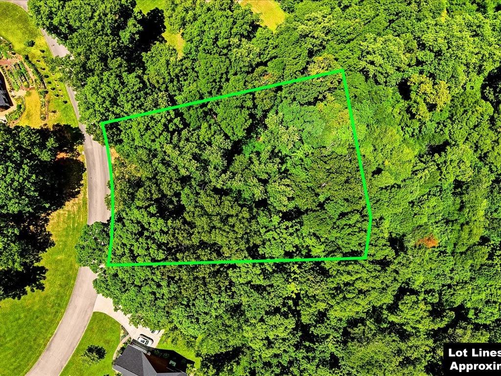 Decorative background for Cherokee Lake Access Lot image 5