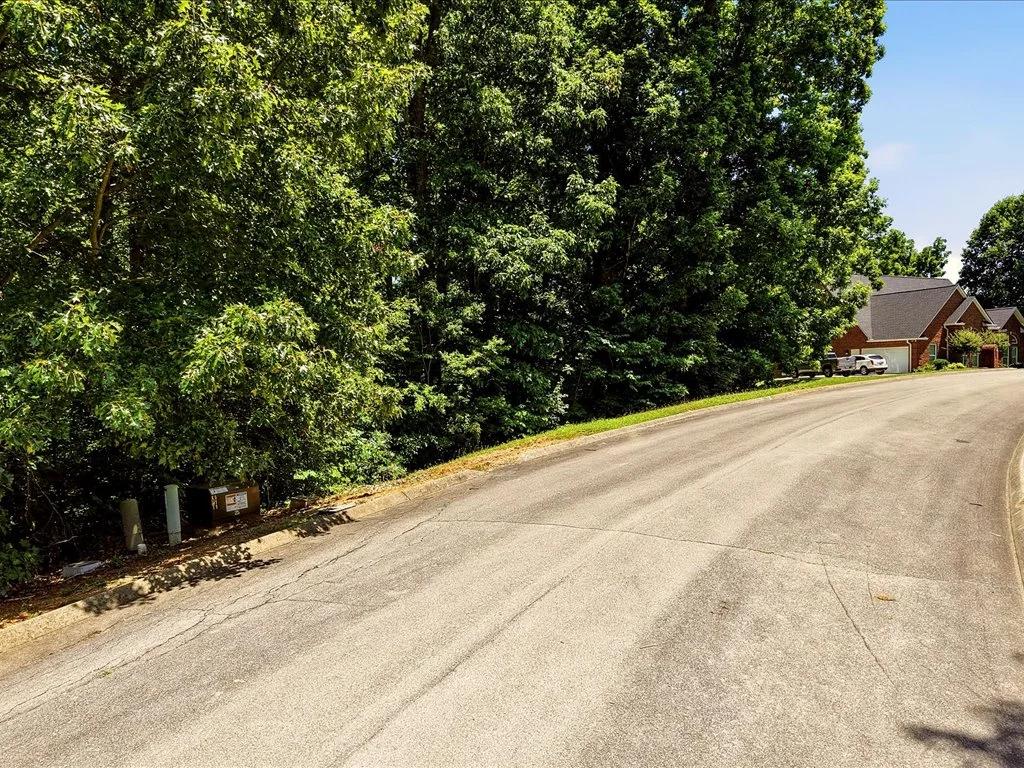 Decorative background for Cherokee Lake Access Lot image 6