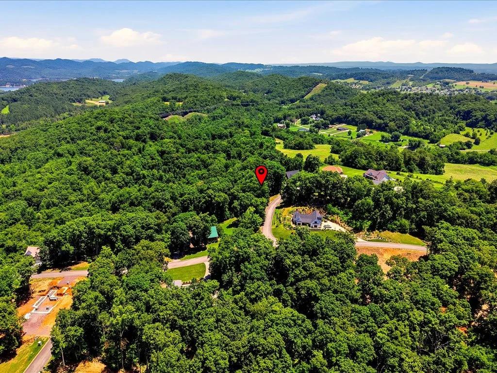 Decorative background for Cherokee Lake Access Lot image 17