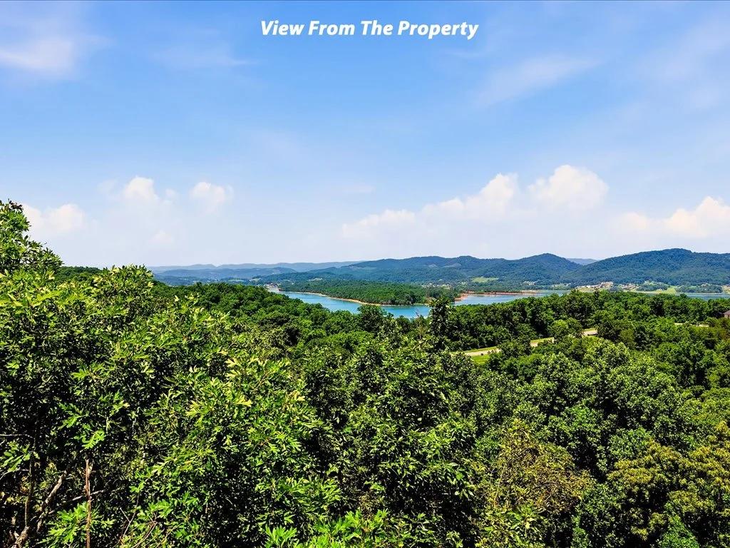 Decorative background for Cherokee Lake Access Lot image 23