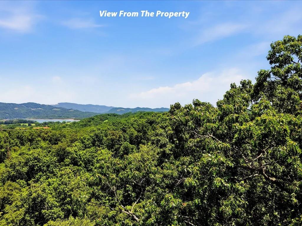Decorative background for Cherokee Lake Access Lot image 24