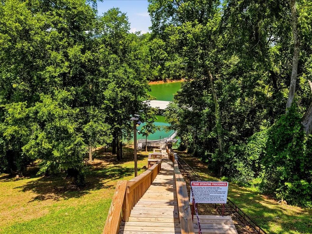 Decorative background for Cherokee Lake Access Lot image 28