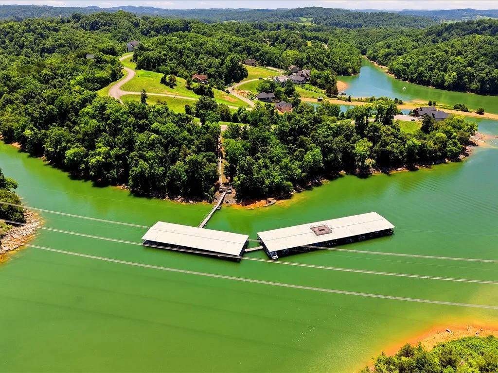 Decorative background for Cherokee Lake Access Lot image 30