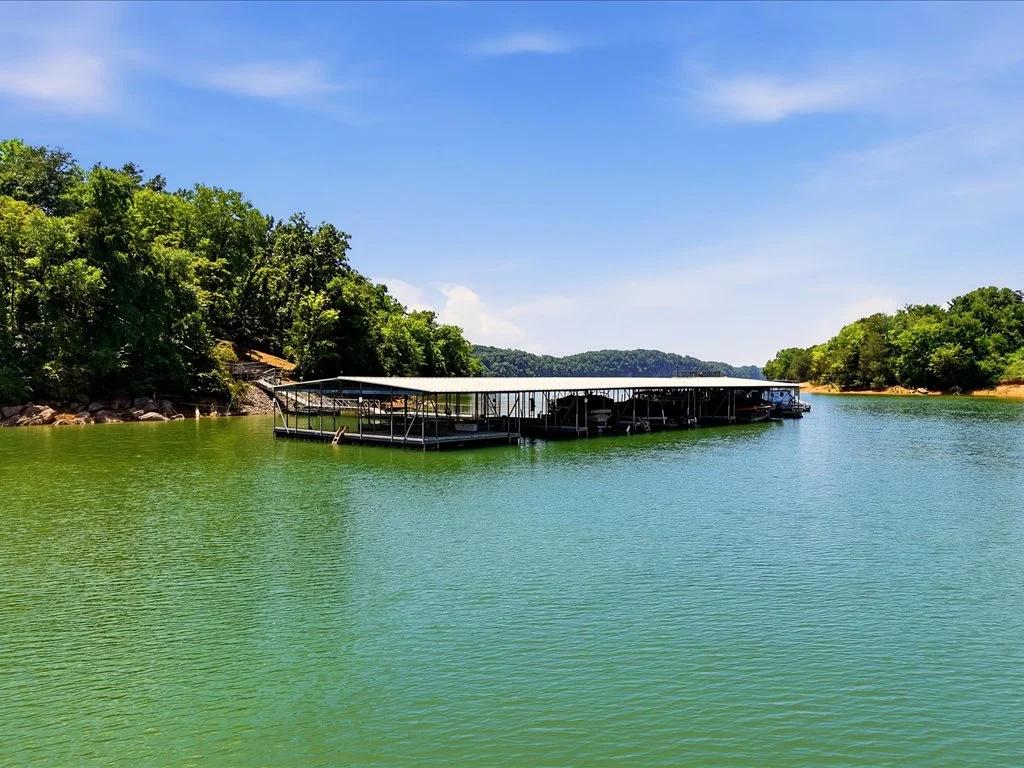 Decorative background for Cherokee Lake Access Lot image 35