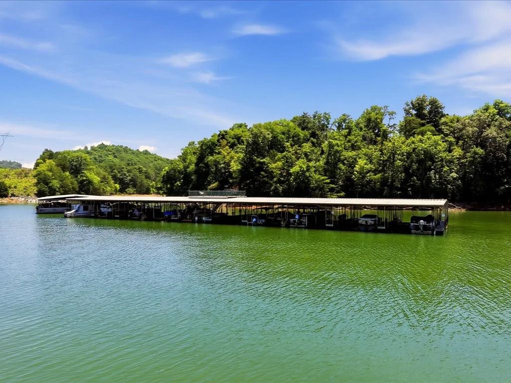 Decorative background for Cherokee Lake Access Lot image 36