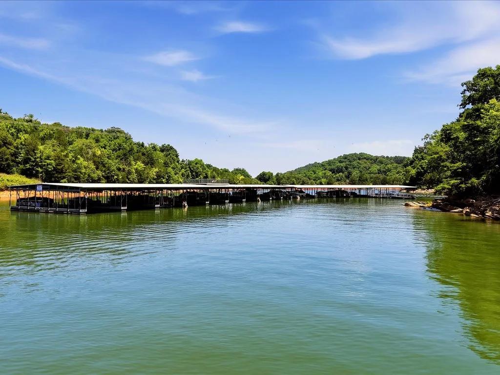 Decorative background for Cherokee Lake Access Lot image 37