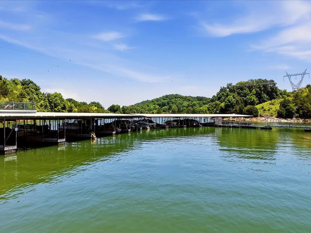 Decorative background for Cherokee Lake Access Lot image 38