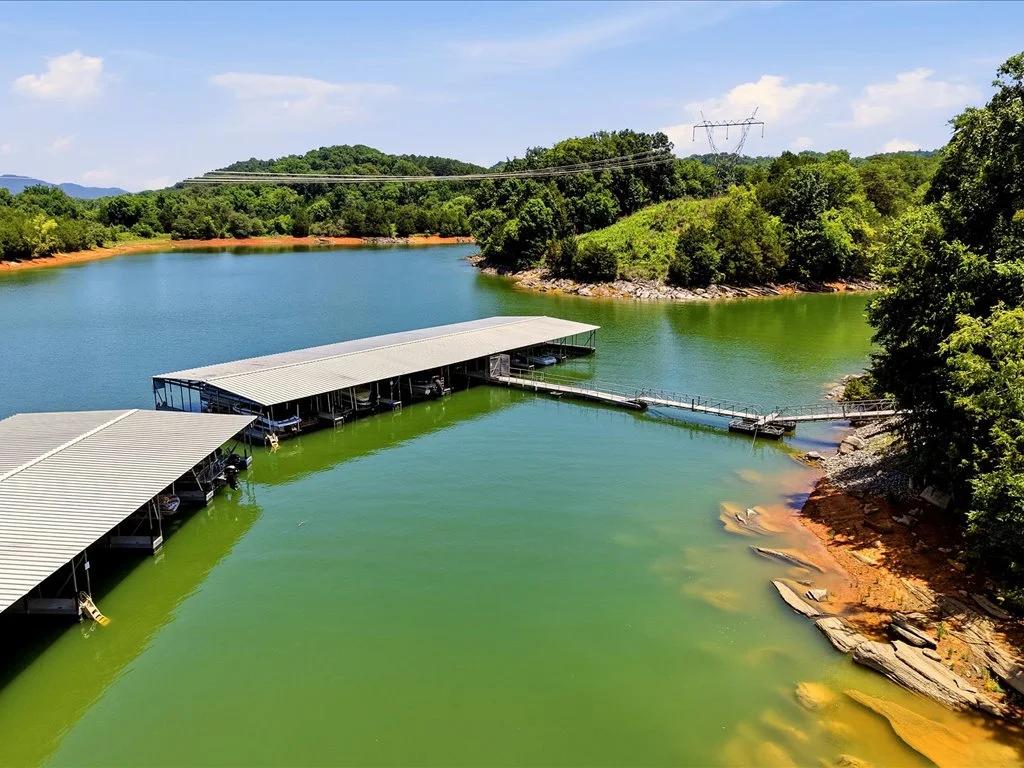 Decorative background for Cherokee Lake Access Lot image 39