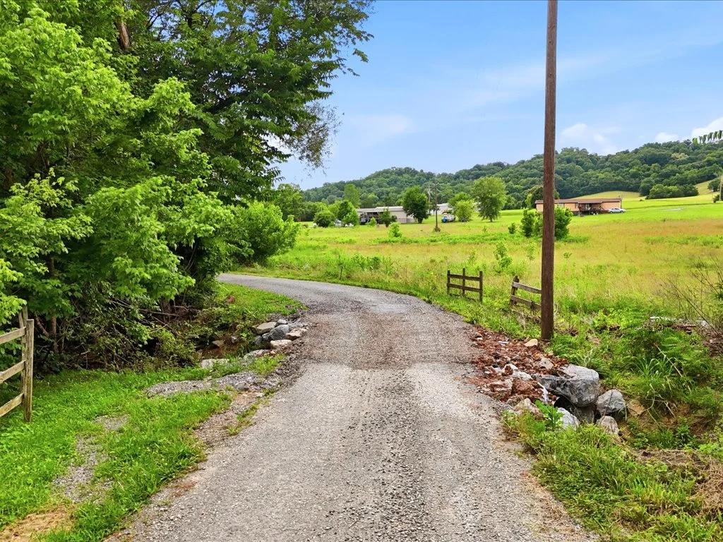Cleared, Level, Unrestricted Lot - Image 2
