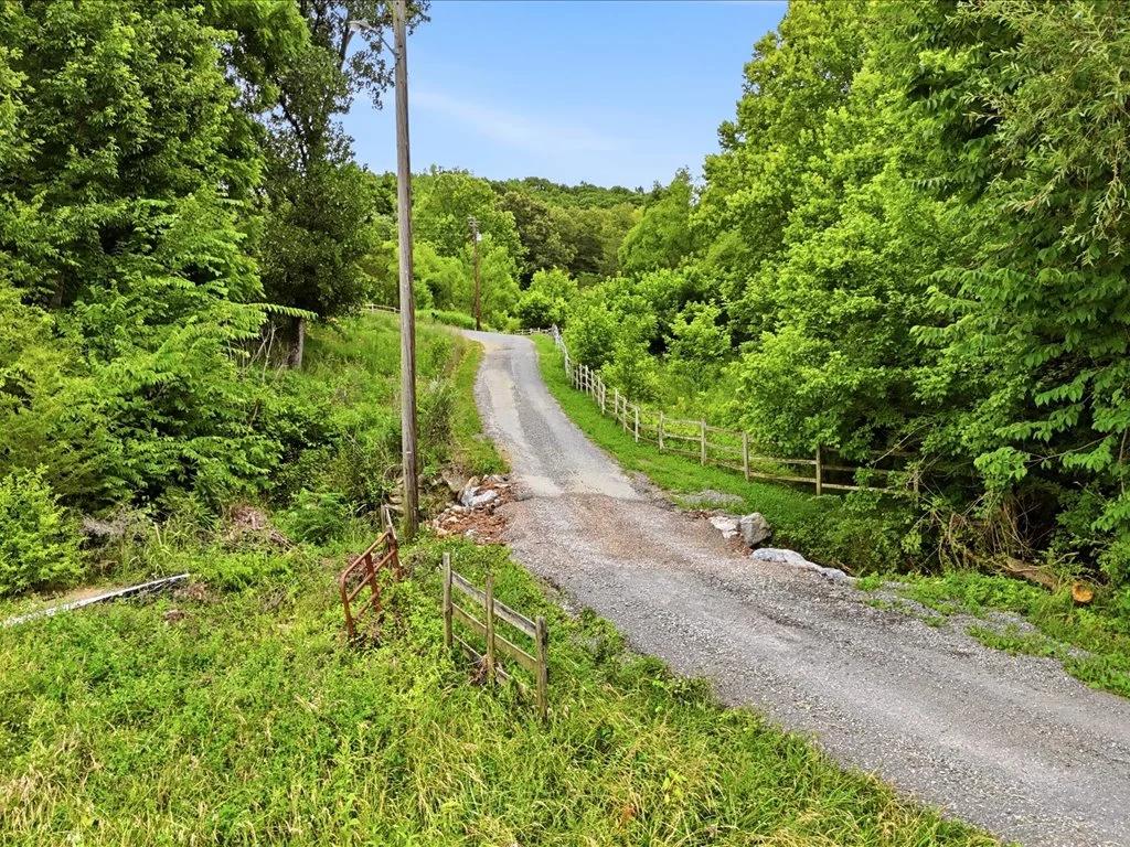 Decorative background for Cleared, Level, Unrestricted Lot image 14