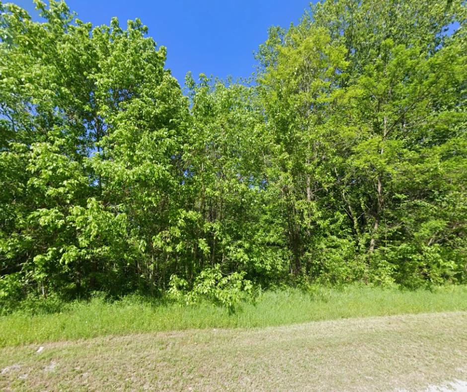 5 Peaceful Acres in Maury County | Hampshire, TN - Image 2
