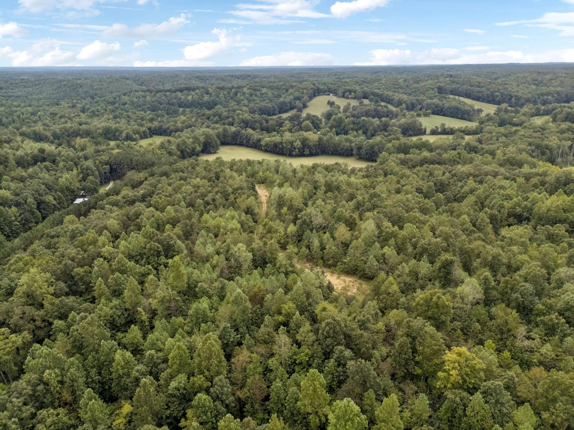 90 Unrestricted Hunting/Recreational Acres 1.25 Hours From Nashville - Main image