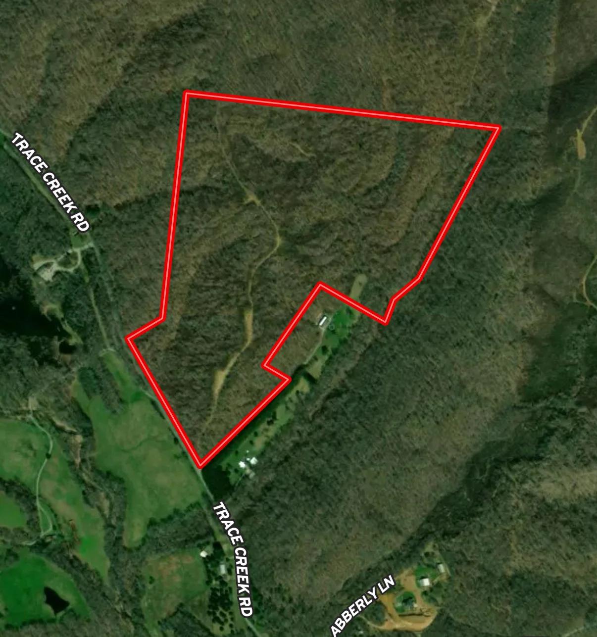 Decorative background for 90 Unrestricted Hunting/Recreational Acres 1.25 Hours From Nashville image 7