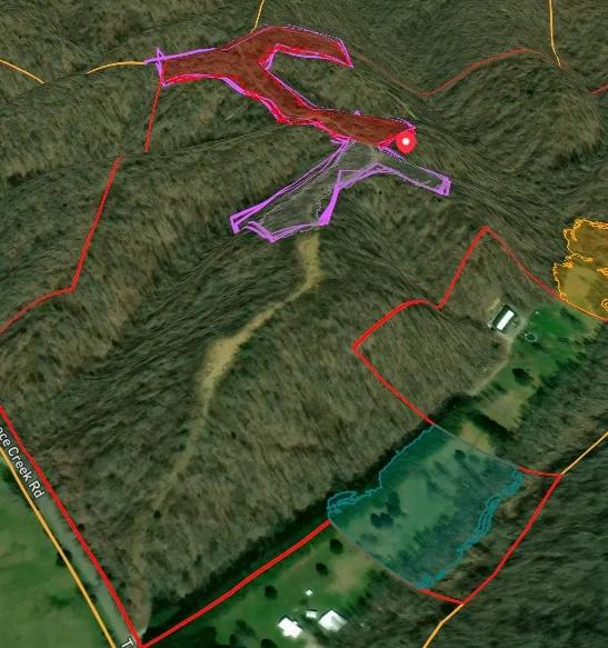 Decorative background for 90 Unrestricted Hunting/Recreational Acres 1.25 Hours From Nashville image 8