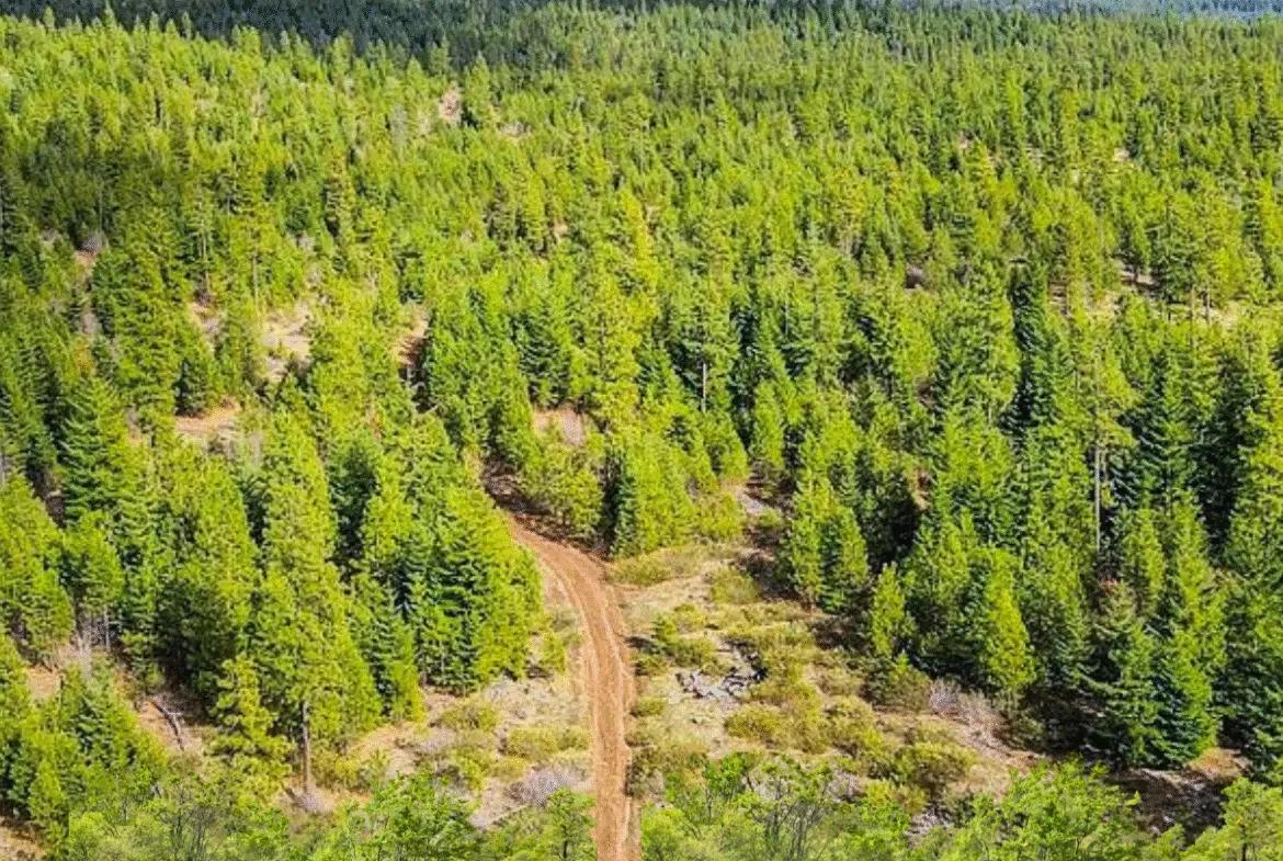 0.92 Acres for Sale in Likely, CA - Image 3