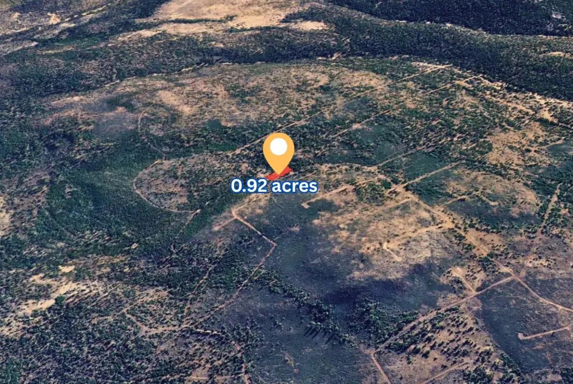Decorative background for 0.92 Acres for Sale in Likely, CA image 5