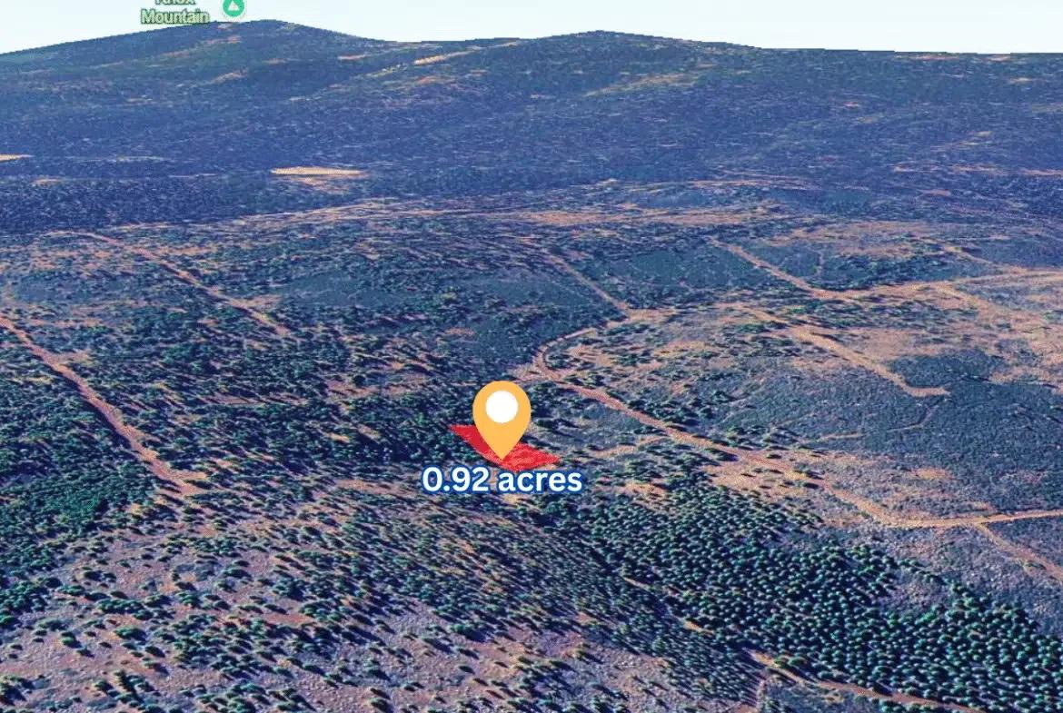 Decorative background for 0.92 Acres for Sale in Likely, CA image 6