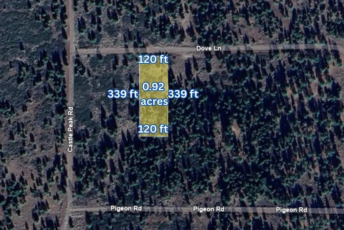 Decorative background for 0.92 Acres for Sale in Likely, CA image 8