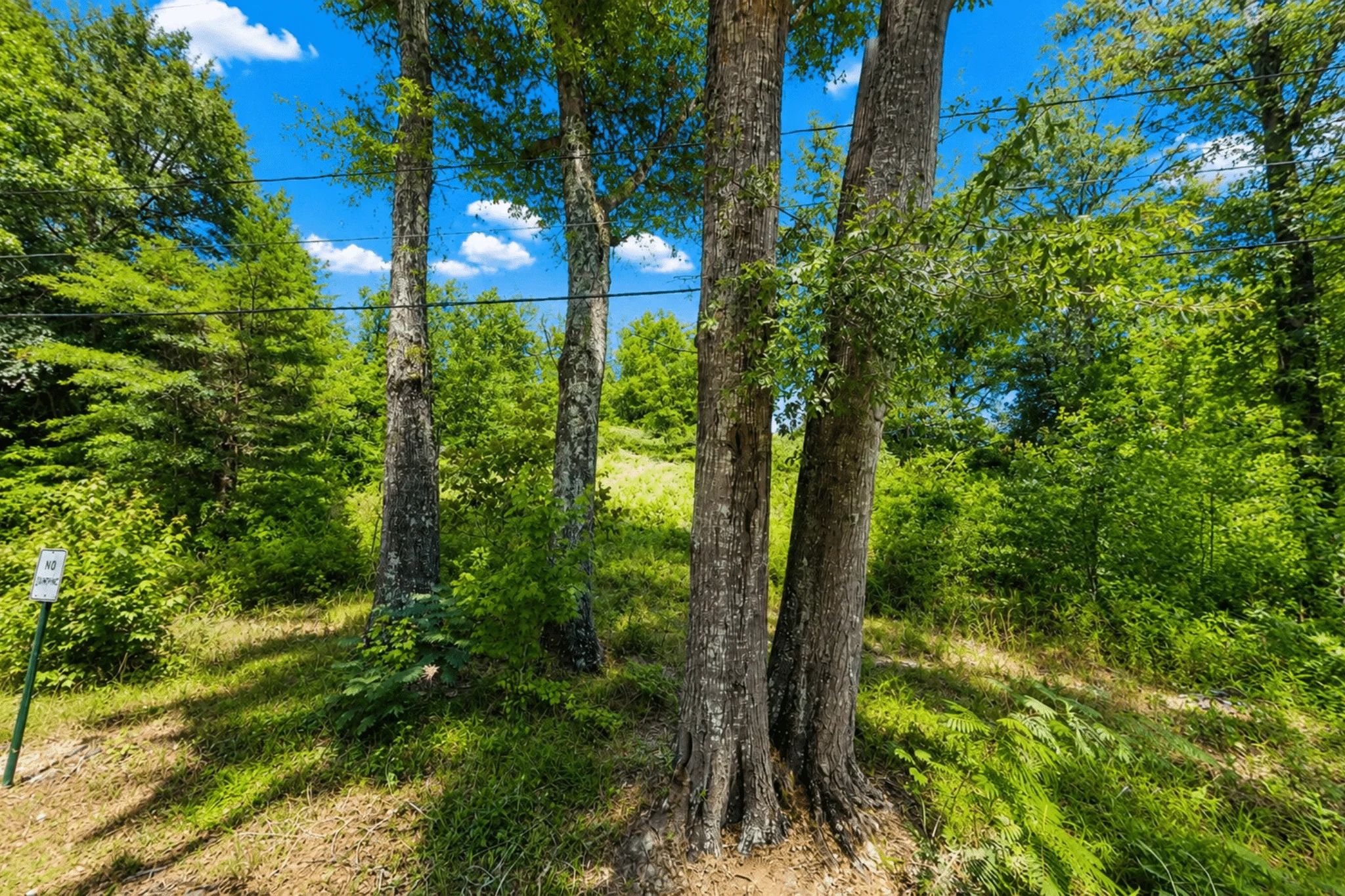 0.14 Acres of Peace, Privacy & Investment in Jones County, MS