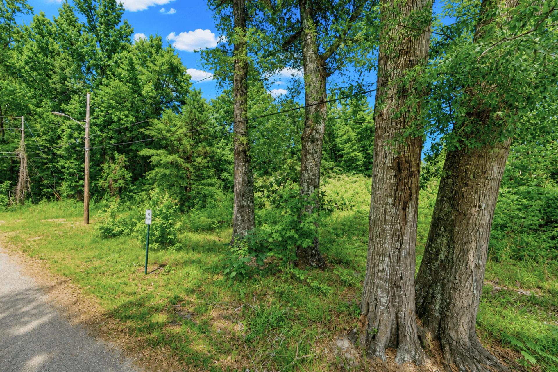 0.14 Acres of Peace, Privacy & Investment - Image 3