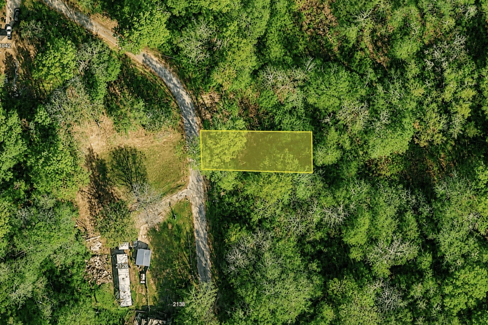 Decorative background for 0.14 Acres of Peace, Privacy & Investment image 6