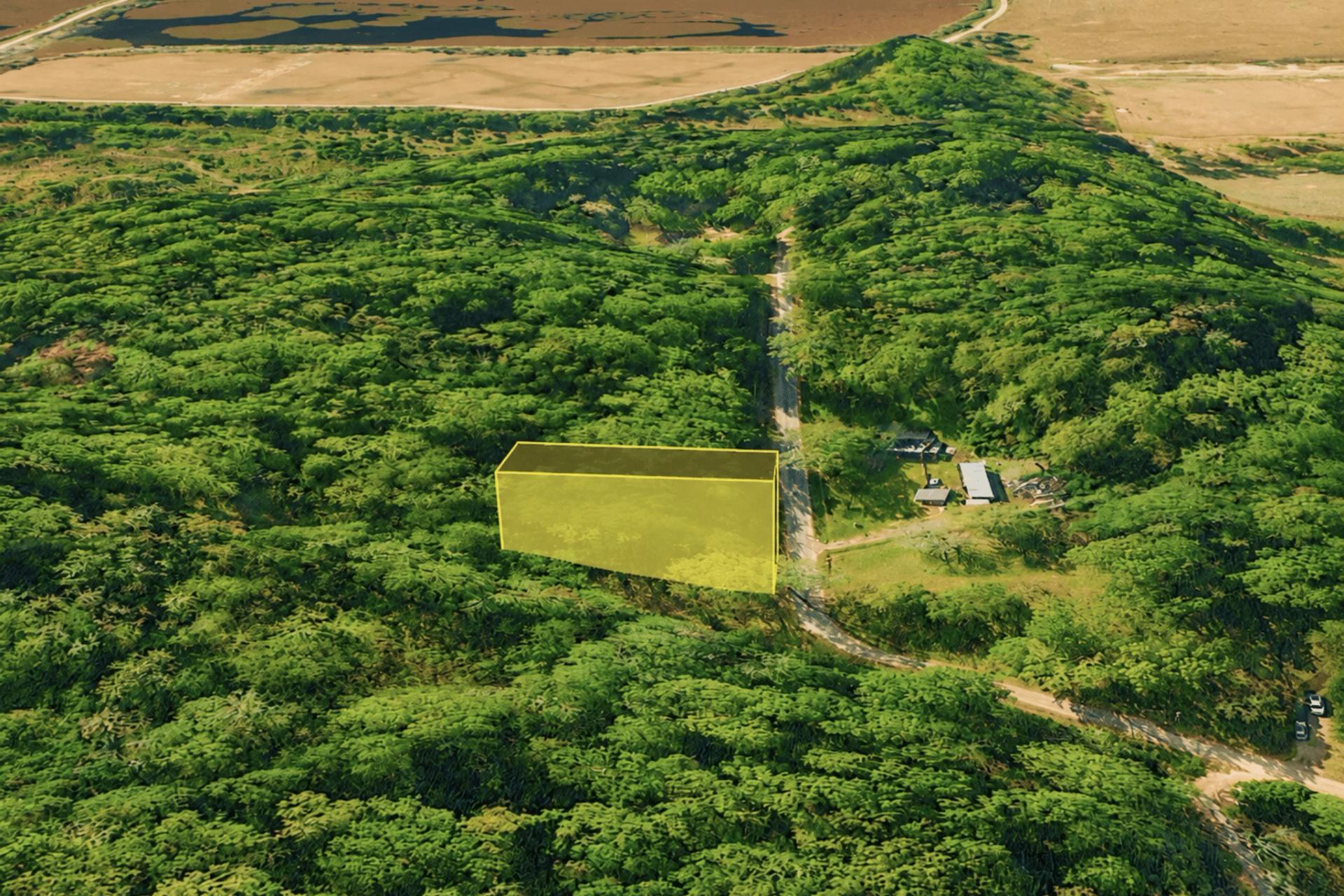 Decorative background for 0.14 Acres of Peace, Privacy & Investment image 7