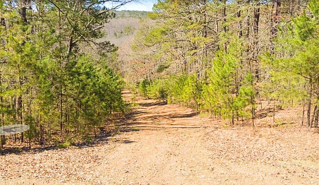 0.24-Acre Lot in a Prime Location in Fairfield Bay, AR - Image 2