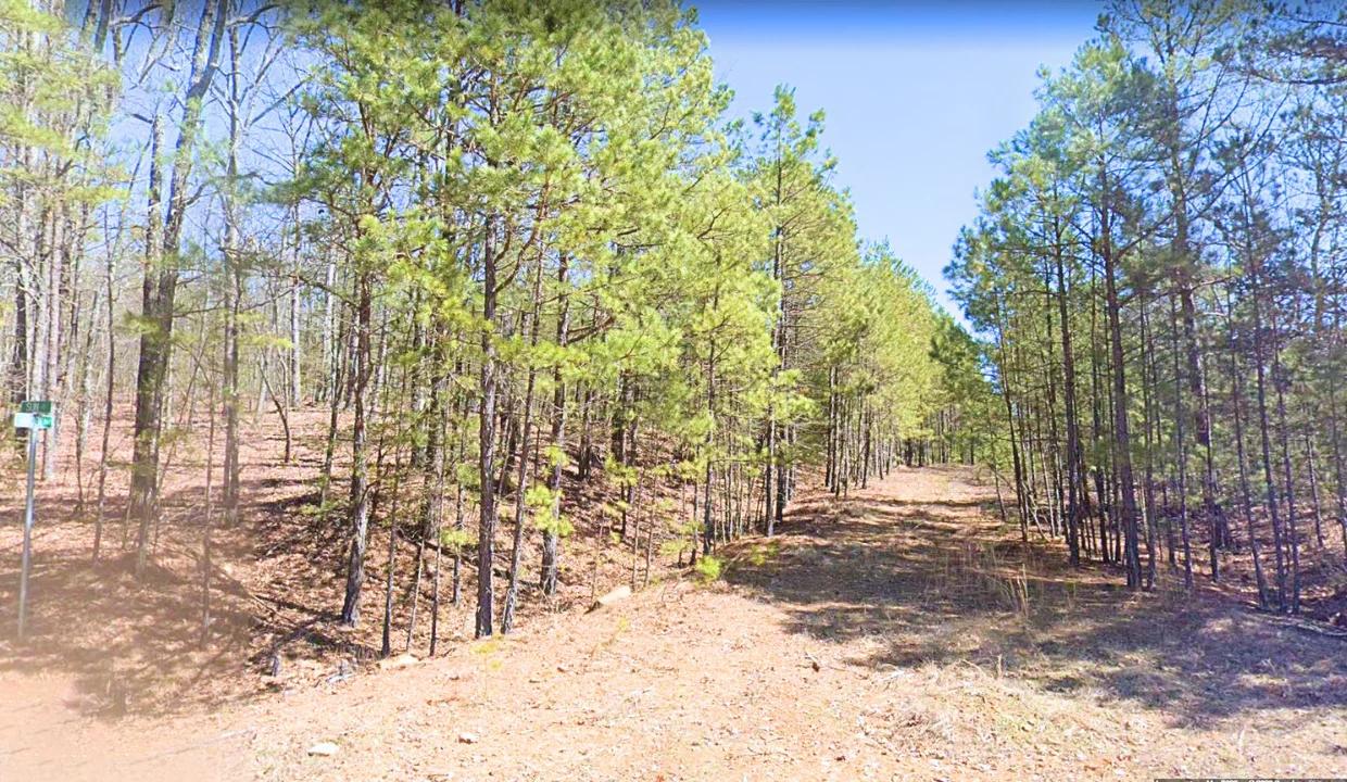 0.24-Acre Lot in a Prime Location in Fairfield Bay, AR - Image 3